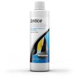 Entice
