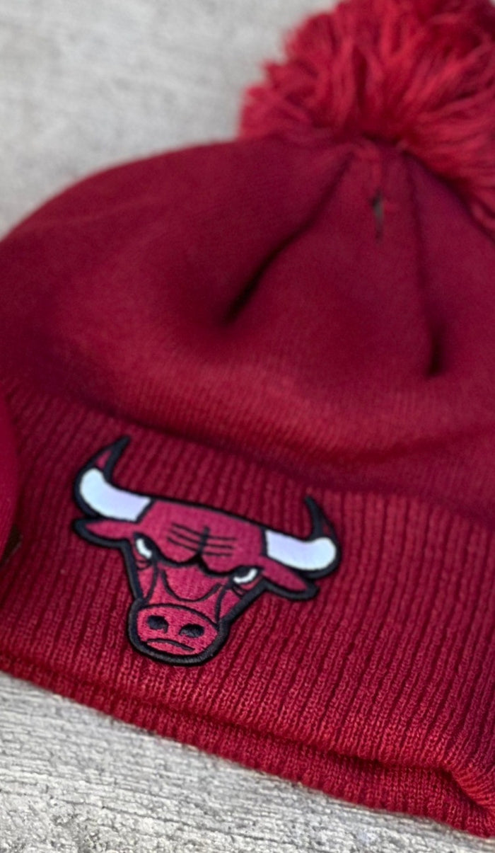 2023 Chicago Alternate Bulls City Edition New Era Knit