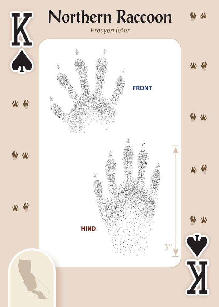 PlayingCardDecks.com-Animal Tracks of California Playing Cards