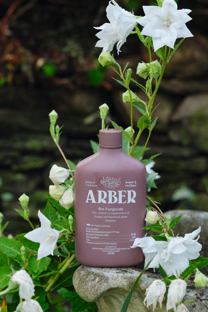 Arber-Organic-Bio-Fungicide