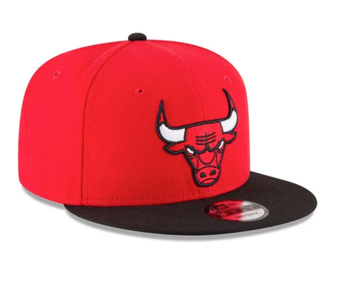 Bulls 2Tone 9FIFTY Snapback
