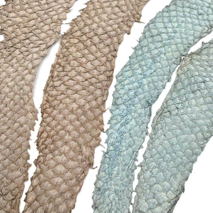 Bundle of 4 Multicolor Pirarucu Tails 10P | SALE