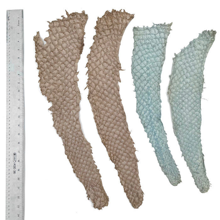 Bundle of 4 Multicolor Pirarucu Tails 10P | SALE