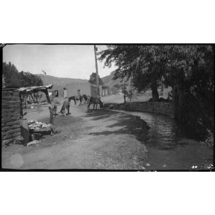 Burros at Acequia Madre Archival Print