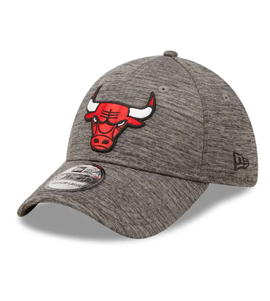 Chicago Bulls Charcoal Essential 39Thirty Stretch-1