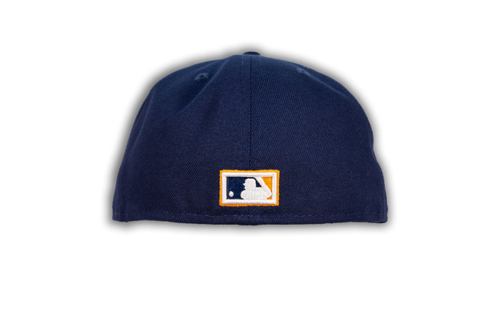 Chicago White Sox 1933 Allstar Dreams-6
