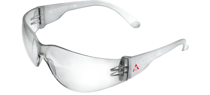 Clear Lens Safety Goggles, ES001
