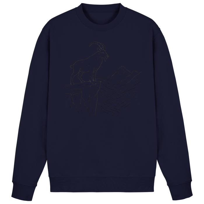 Oxford Navy / XS