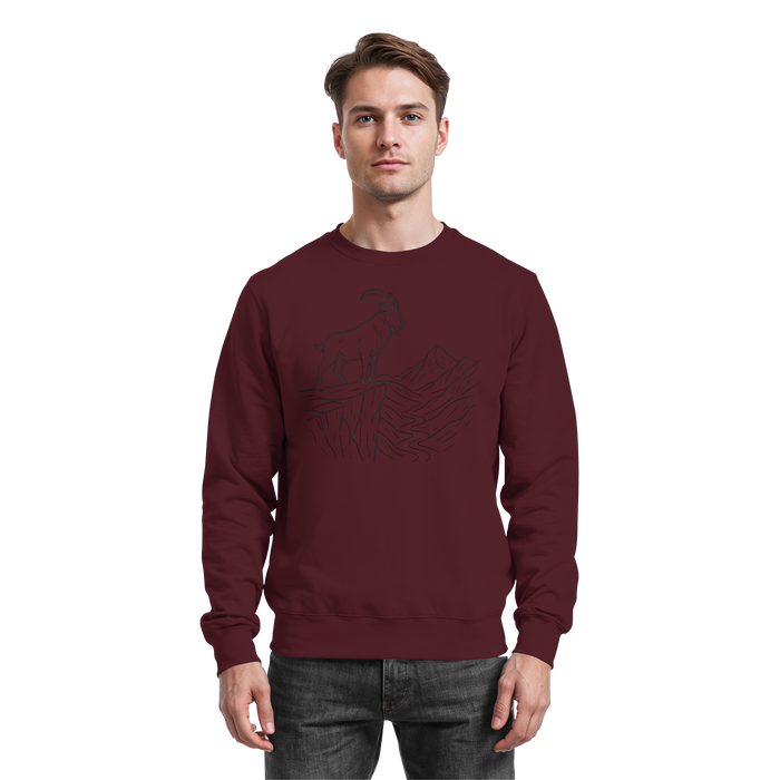Arvenzo Cliff Edge Burgundy sweatshirt showing a front view with a simple design and crew neckline.