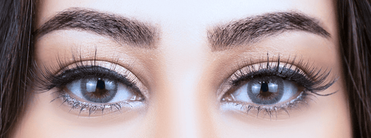 COLEN AMLEER GRAY(D10)CONTACT LENS DAILY - Makkah Pharmacy