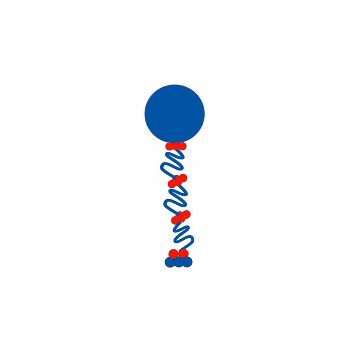 Curly Balloon Column *** Pick - up or Delivery only *** - USA Party Store