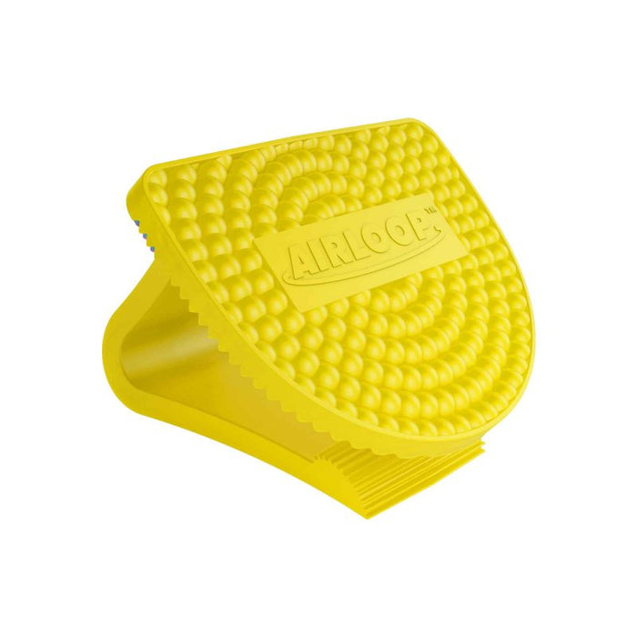 DEODORIZER/ Vectair/ Airloop Bowl Clip, Assorted Fragrances, 5 PACK