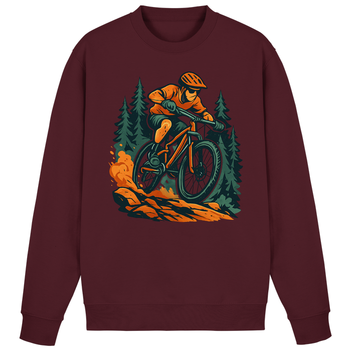 Arvenzo Dirt Rush sweatshirt in burgundy, front view showing a casual, basic design with a round neckline and long sleeves.