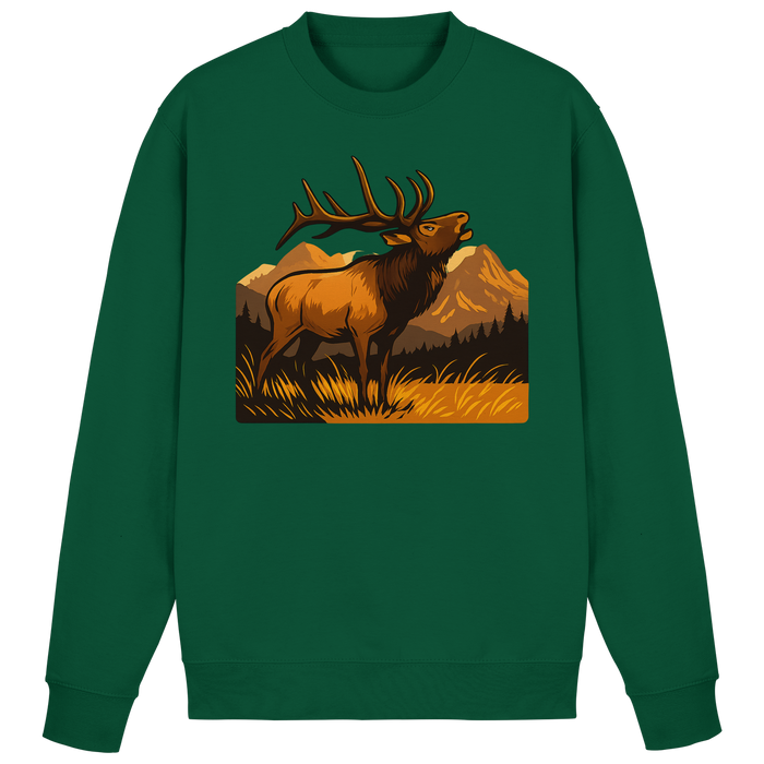 Bottle Green / XS