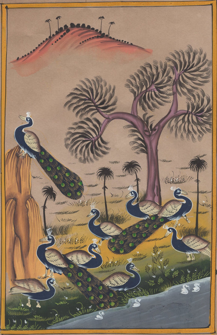 Peacock Bird Painting