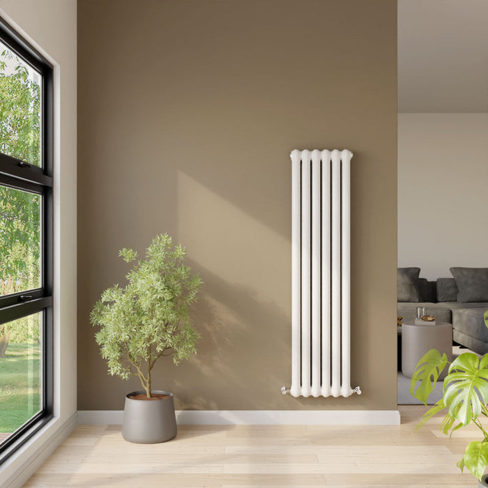 [BHAS002] Huddlesford Contemporary Vertical Double Panel Radiator, Choice of Colour and Size