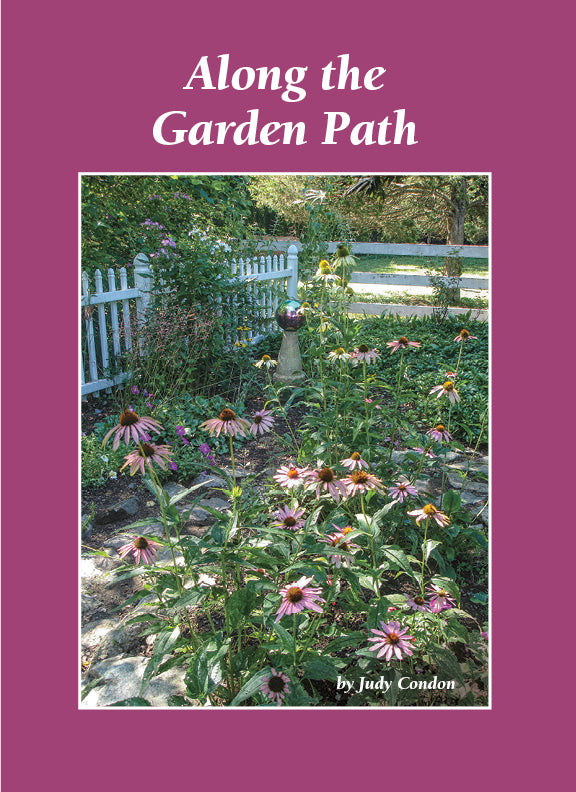 JC-SC 'Simply Country' Books by Judy Condon [Gently Used & Shop Worn]