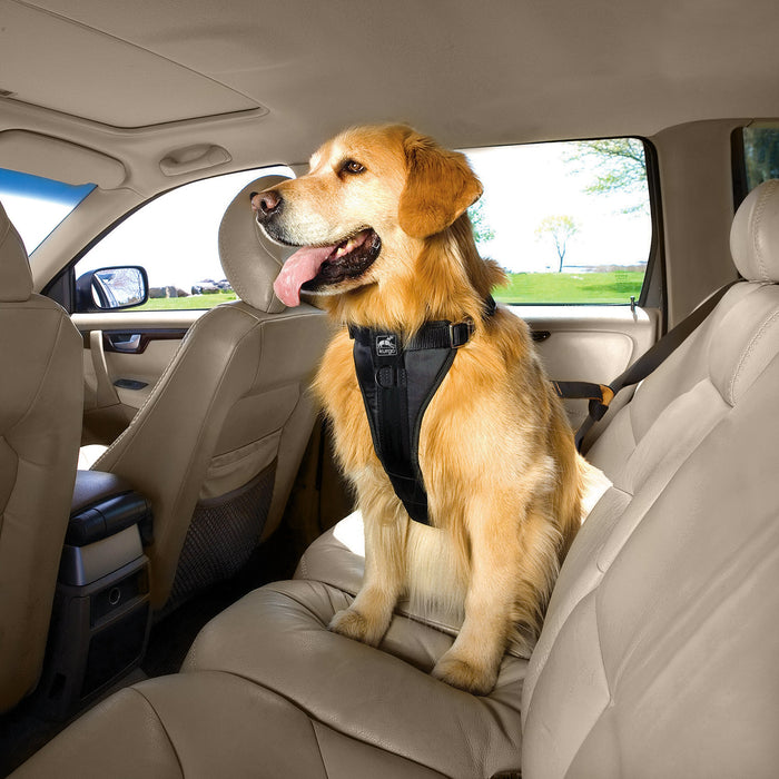 Golden retriever wearing the Kurgo Tru-Fit harness secured on a rear car seat