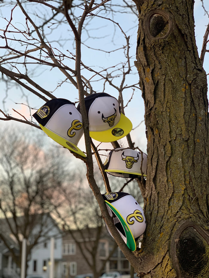 Maize Fields Pack Chicago Bulls 59Fifty-3