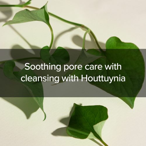 Mary & May Hoyttuynia Cordata + Tea Tree Cleansing Foam 150ml