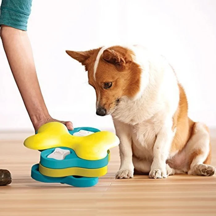 Owner showing a dog how to spin the layers of the Dog Tornado