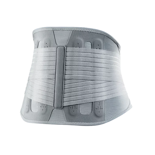 Oppo 2366 Lumbar Support - Large
