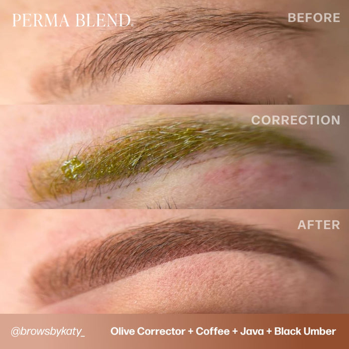 Perma Blend Corrector Pigments - Tina Davies Professional