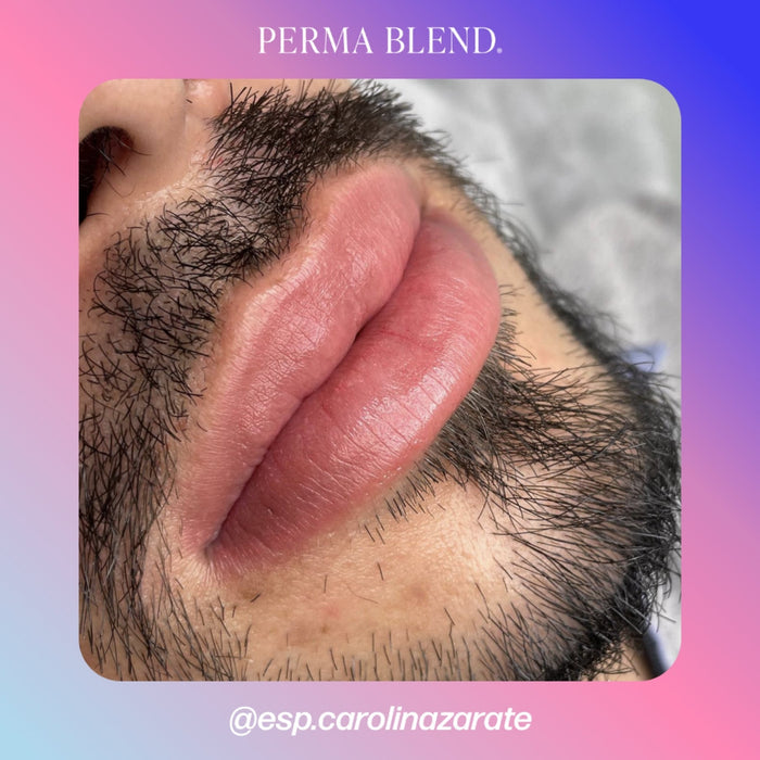 Perma Blend Lip Pigments - Tina Davies Professional