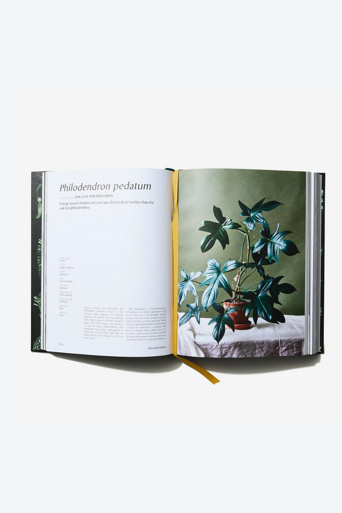 Plantopedia: The Definitive Guide to Houseplants  By Sophia Kaplan and Lauren Camilleri