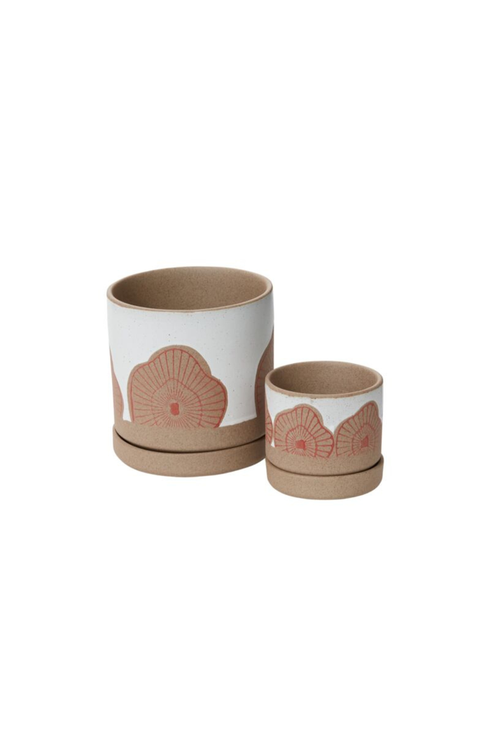 Accent-Decor-Protea-Pot-and-Saucer