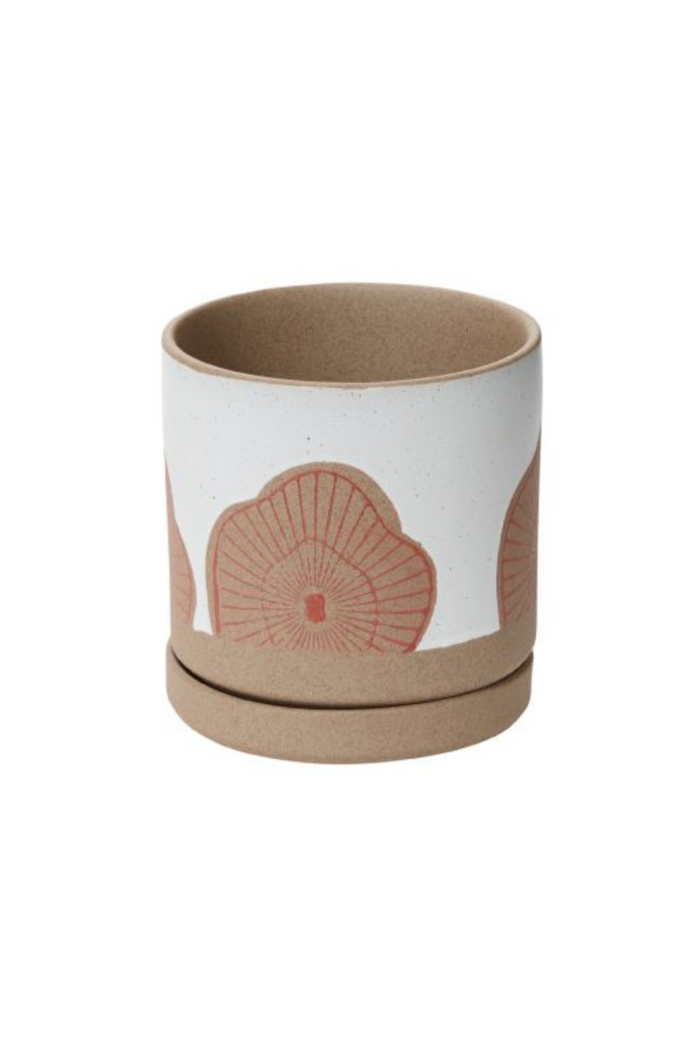 Accent-Decor-Protea-Pot-and-Saucer