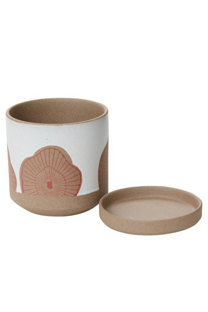 Accent-Decor-Protea-Pot-and-Saucer
