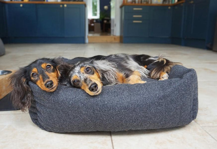 Rosewood grey felt memory foam dog bed in a home setting
