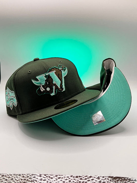 Seaweed Series Winston-Salem Warthogs 59Fifty