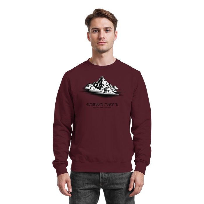 Arvenzo Summit Point sweatshirt in burgundy, front view, soft fabric, casual fit, with round neckline and long sleeves.