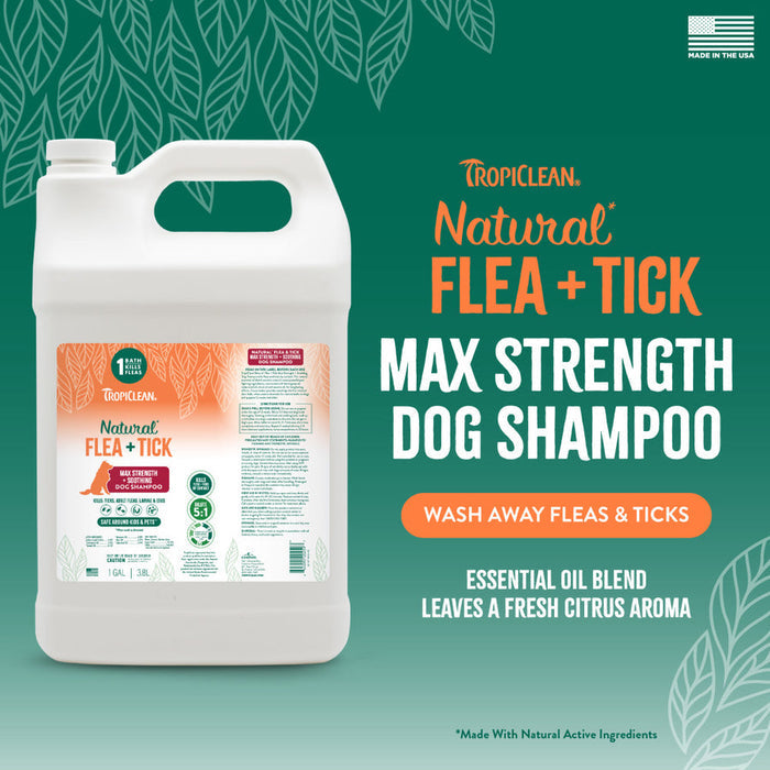 TropiClean Natural Flea + Tick Max Strength Shampoo Gallon
