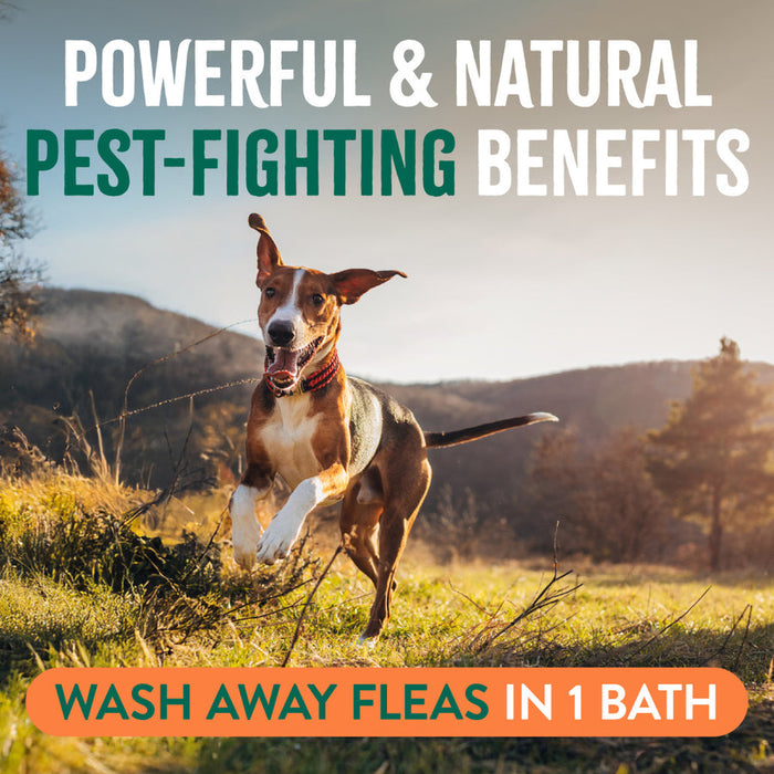 TropiClean Natural Flea + Tick Max Strength Shampoo Gallon