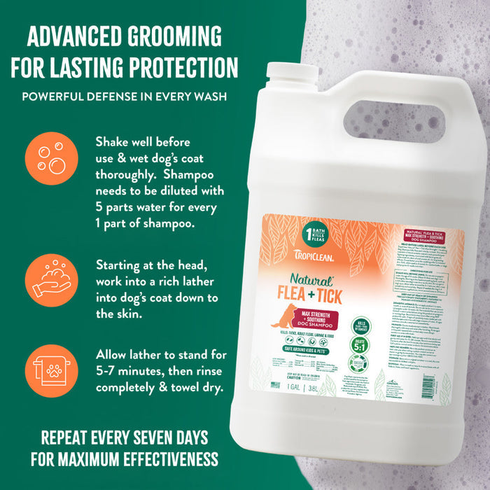 TropiClean Natural Flea + Tick Max Strength Shampoo Gallon