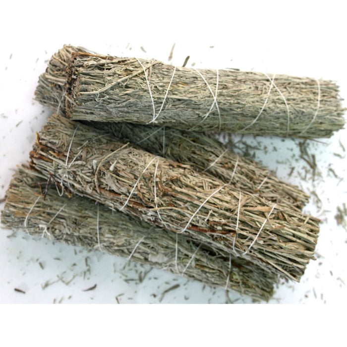 Turquoise Cloud - Large 10" Wands Bulk, Desert Blue Sage in 2 Dozen