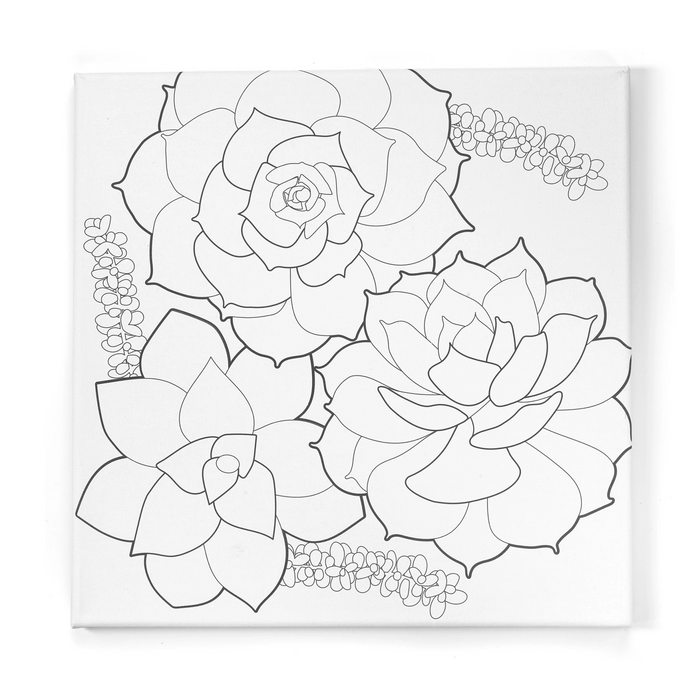 Watercolor Paint by Number Succulents
